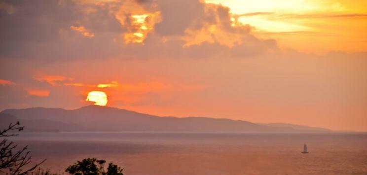 Mynt Retreat Bed & Breakfast Montego Bay Exterior photo